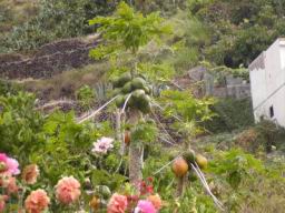 Resize of P21010141.JPG